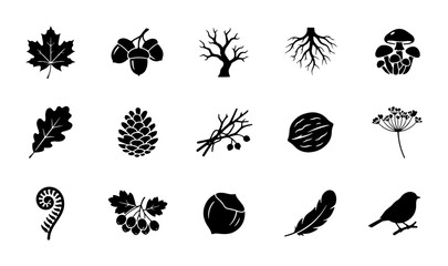 15 Nature icons set leaves acorns tree roots mushrooms oak pine branches walnut dill fern berries nut feather bird, UI and web interface design © Nahid Rana