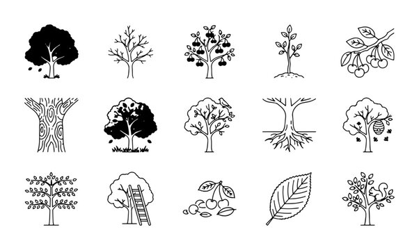 15 Tree linear icon set fruit trees, orchard, nature, UI and web interface design
