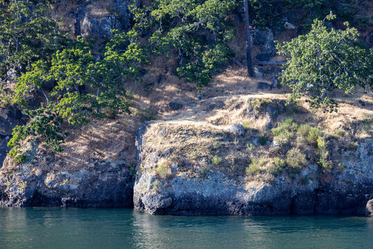 Rocky Cliff Shoreline With Trees Overlooking Calm Water on Galiano Island, British Columbia, Canada