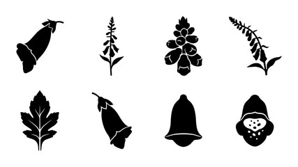 Digitalis Flower Icons, Foxglove Silhouette Set, Botanical Vector Graphics, Nature Elements Collection © Sizan