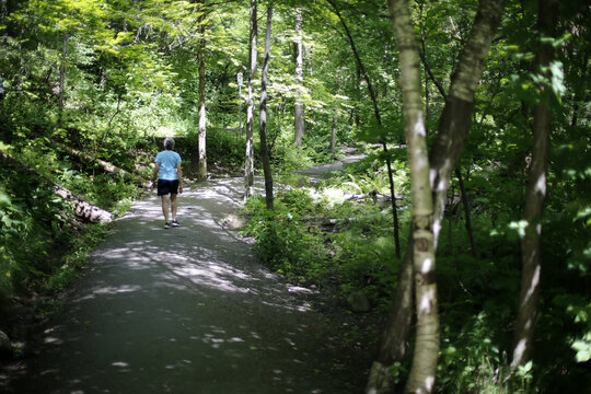 une femme seule marche dans la for&ecirc;t	