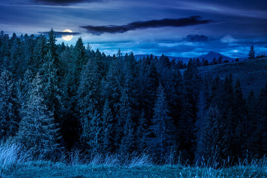 nature scenery with coniferous forest in mountain at night. full moon over carpathian landscape with spruce woodland on the hill. ukraine nature background in early autumn. mysterious fantasy