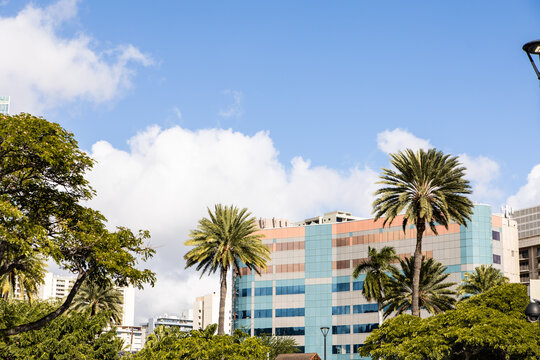 Palm trees framing colorful Waikiki hotel buildings, Oahu