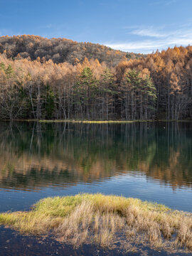 Mishaka Pond in autumn, Chino, Nagano Prefecture, Japan