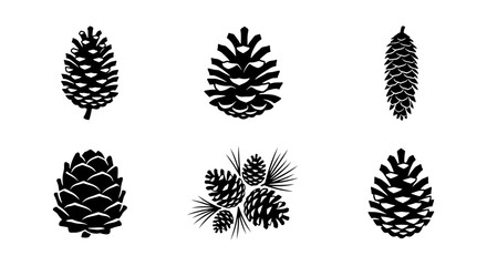 Pine Cone Icons, Forest Elements, Nature Graphics, Vector Set for Autumn and Winter Designs © MR