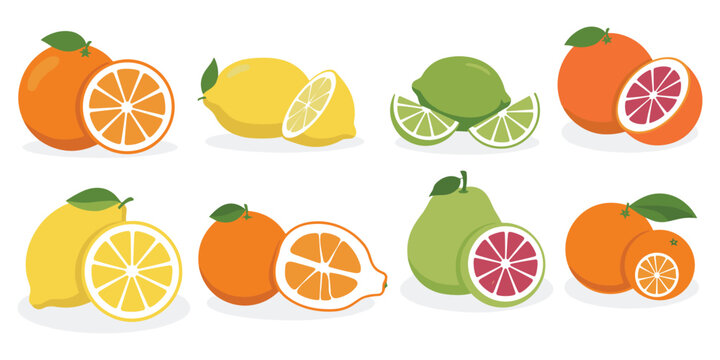 Colorful illustrations of various citrus fruits and slices on white background