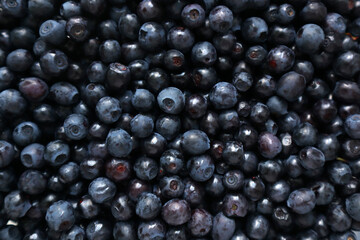 Summer berry background. Close-up of ripe common bilberries (Vaccinium myrtillus). © hollia