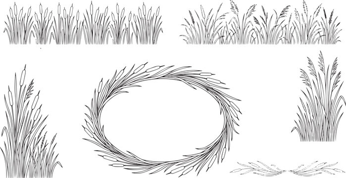 Vintage Hand-Drawn Reed Grass and Bulrush Meadow Frames Collection