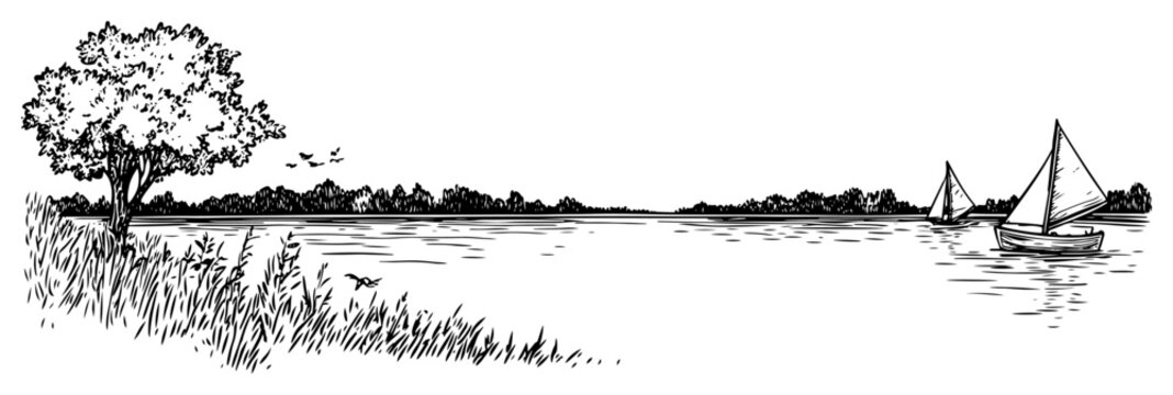 Scenic lake view with sailboats and large tree on the bank sketch style