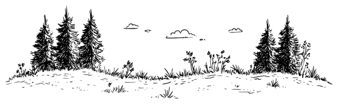 Pine trees on a meadow hill with clouds in hand drawn sketch style