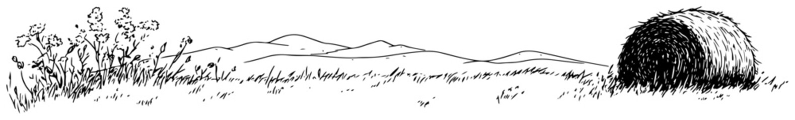 Obraz premium Rural landscape with hay bale and wildflowers on a field in hand drawn sketch style