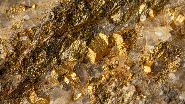 Extreme macro shot of sparkling golden pyrite crystals embedded in quartz mineral rock matrix