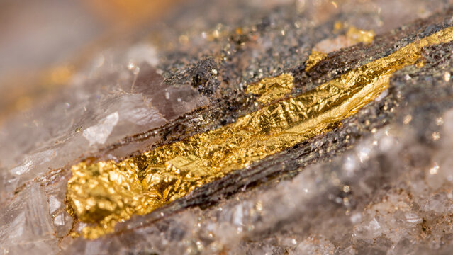 Extreme macro shot of sparkling golden pyrite crystals embedded in quartz mineral rock matrix