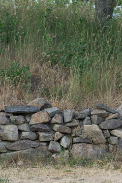 stone wall in the forest