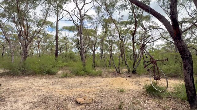 Footage of an old and discarded rusty bicycle hanging from a rope in a tree on a remote hiking trail near a valley in the Blue Mountains in New South Wales, Australia