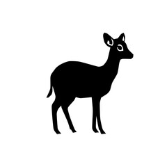 A dik-dik antelope standing on short legs, looking sideways. © robin