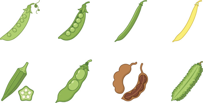 Legume and Pod Vegetable Collection Vector Illustration with Peas Beans Okra Tamarind and Winged Bean