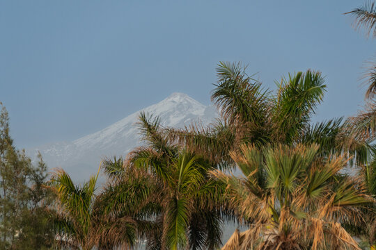 Teide nevado
