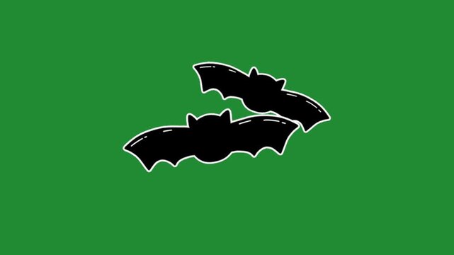 Two cute black bats flying with white outline cartoon animation on a green screen chroma key background asset
