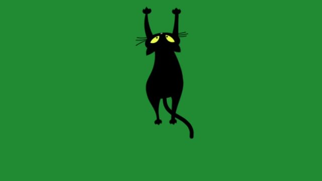 Black cat stretching and scratching cartoon animation on green screen chroma key background