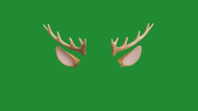 Cute cartoon reindeer antlers and ears isolated on a solid green background