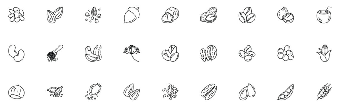 Collection of various organic food icons representing nuts seeds and grains arranged in rows on a clean white background