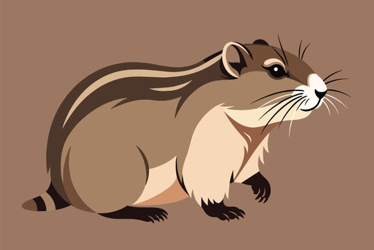 Colorful flat style illustration of a cute chipmunk profile showing details of its striped back on a warm brown background.