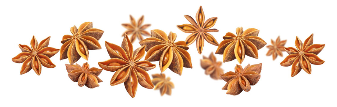 Star anise pods floating in air, isolated on transparent cutout background