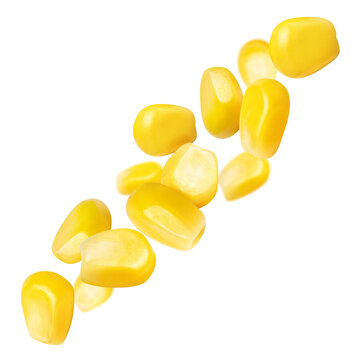 Fresh sweet corn kernels flying in dynamic composition, isolated on transparent cutout background
