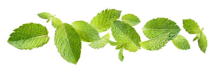 Fresh mint leaves flying and scattering dynamically, isolated on transparent cutout background © Yeti Studio