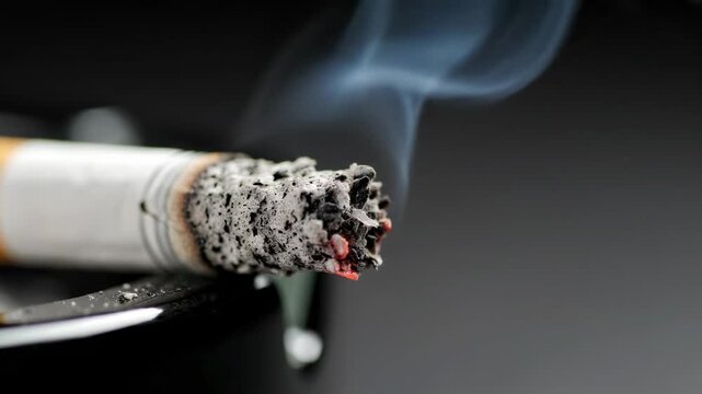 A lit cigarette rests inside an ashtray while emitting a thin plume of grey wispy vapor that rises slowly toward the air reflecting the harmful effects of nicotine consumption on human health