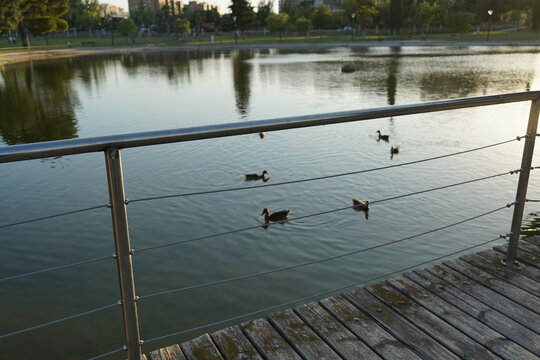 fishing on the lake
