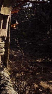 A pathway is visible in a forest with trees surrounding it. A lantern hangs from a wooden structure. Sunlight filters through the branches and illuminates the scene.