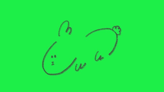 Hand drawn cute bunny rabbit line art doodle animation on green screen background for video editing element