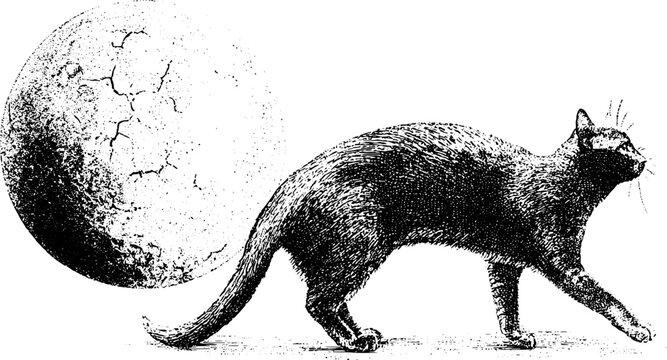 Vintage engraved black cat with arched back passing scarred moon drawing for halloween poster background and banner design