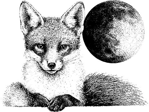 Fox with cunning gaze and textured moon in black and white stipple illustration for tattoo print poster and mystical artwork