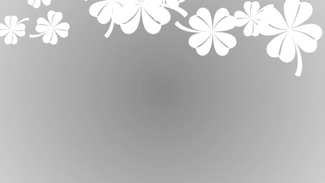 Abstract animation of white clover petals falling from above on a grey background.