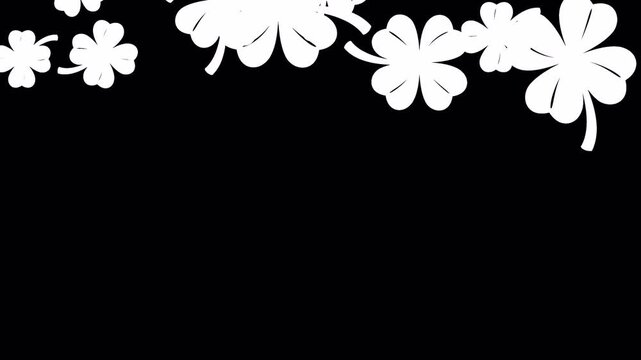 Abstract animation of white clover petals falling from above on a transparent background.