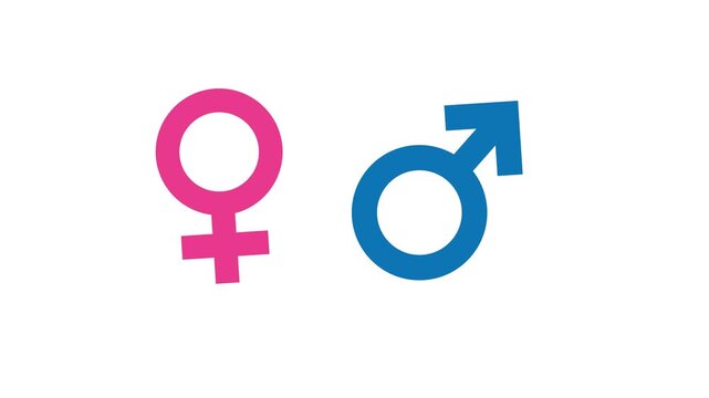 Animation of pink female and blue male gender symbols isolated on white background.