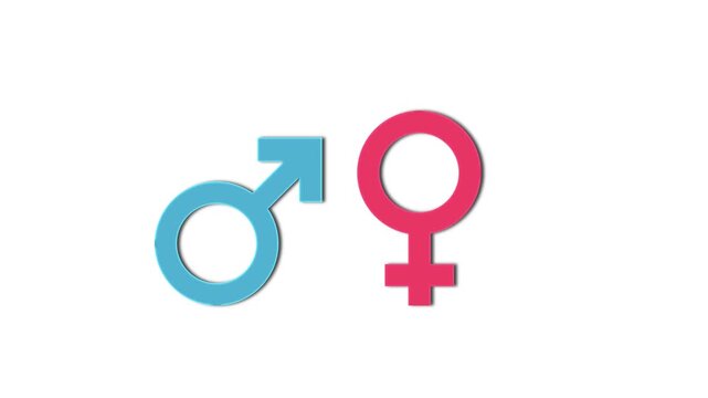 Blue male and pink female gender symbols animation isolated on a white background.