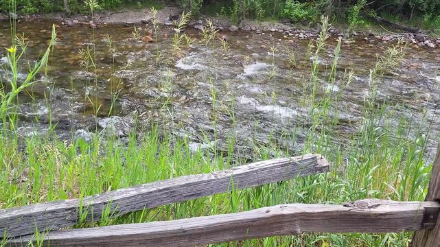 Broken Split Rail Fence Along Bank of Forested River Trail