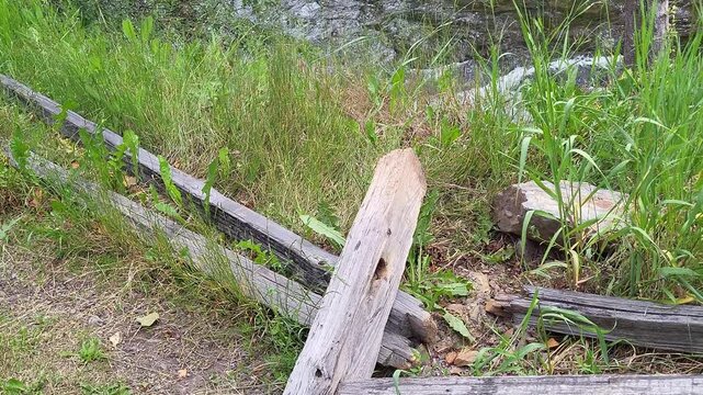 Broken Split Rail Fence Along Bank of Forested River Trail Pan Left to Right