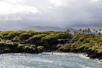 Dense coastal greenery framing a hidden cove at Waianapanapa State Park, Maui © Zach