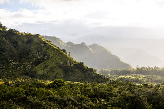 Misty green valley along the Hana Highway rainforest, Maui