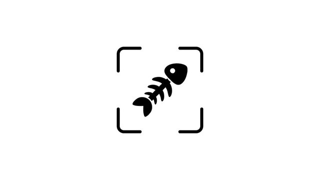 Fish skeleton icon scanned with green laser light on white background motion graphics.