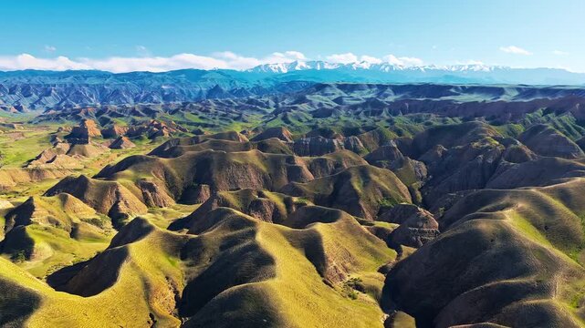 Aerial view of undulating green hills and rugged mountain ranges under a blue sky in Xinjiang, China.
