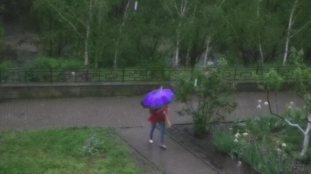 Girl, hail, rain, and thunderstorm.
A girl was caught in rain, hail, and thunderstorm.
