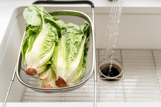 Romaine lettuce heads in colander with root ends visible
