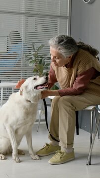 Vertical video of senior Caucasian woman sitting in clinic waiting room and petting dog. Footage is suitable for veterinary services, senior pet care, or animal therapy campaigns