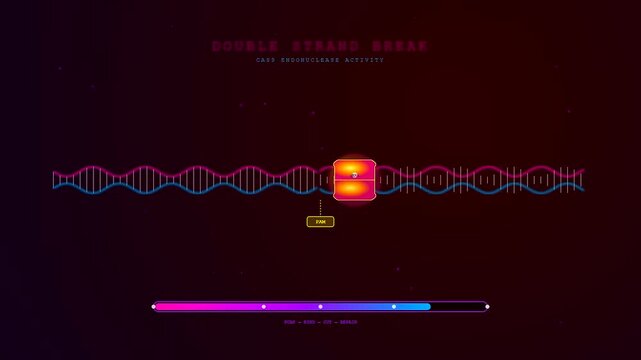 CRISPR gene editing process visualized showing double strand breaks within a DNA helix structure on a dark abstract background with subtle particle effects and progress bars below